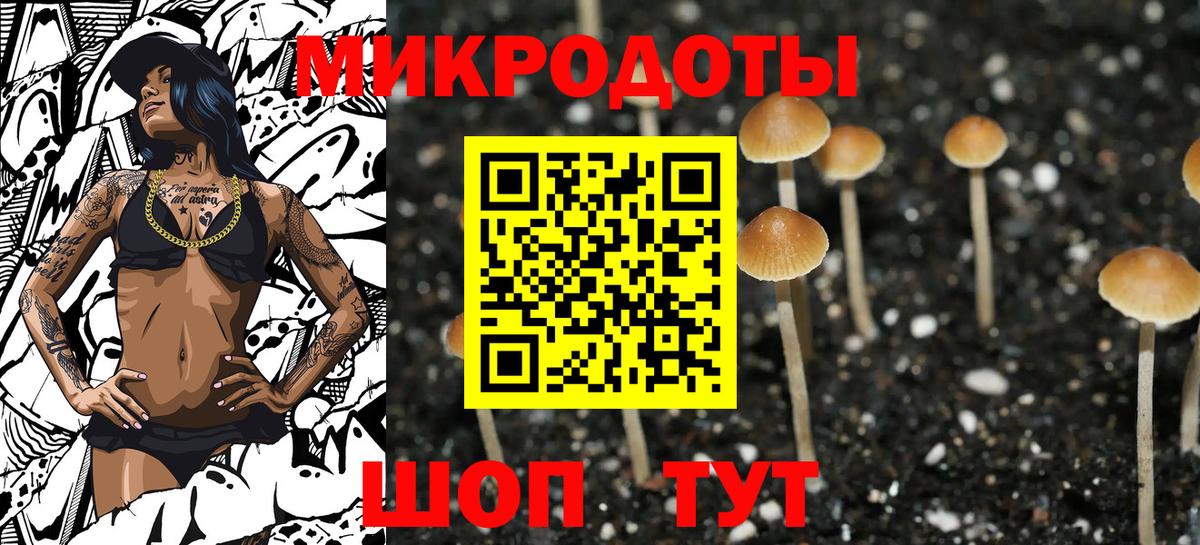 Галлюциногенные грибы мухоморы Грозный