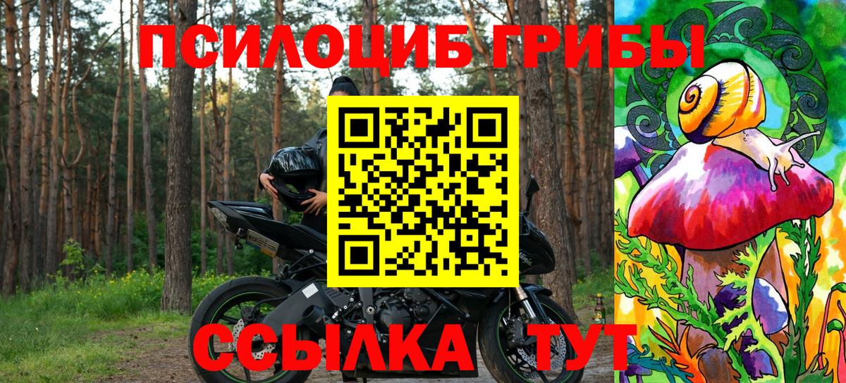 цены   Псилоцибиновые грибы прущие грибы  Вход с VPN  Грозный 